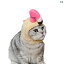 ドッグウェア かわいい 帽子 犬 ドレスアップ 猫 頭飾り かつら フラミンゴ カボチャ トラ アニマル ボタニカル ストライプ ブラック グレー ホワイト