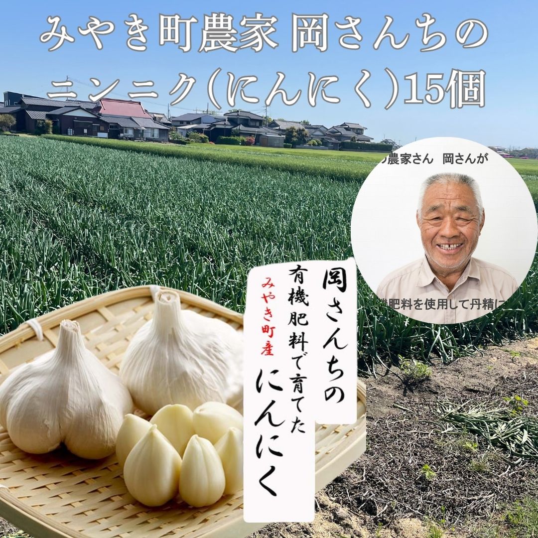 【6/4 20時～ エントリーでポイント20倍】佐賀県みやき町岡さんちのニンニク（にんにく）15個　にんにく ニンニク 国産 白にんにく 有..