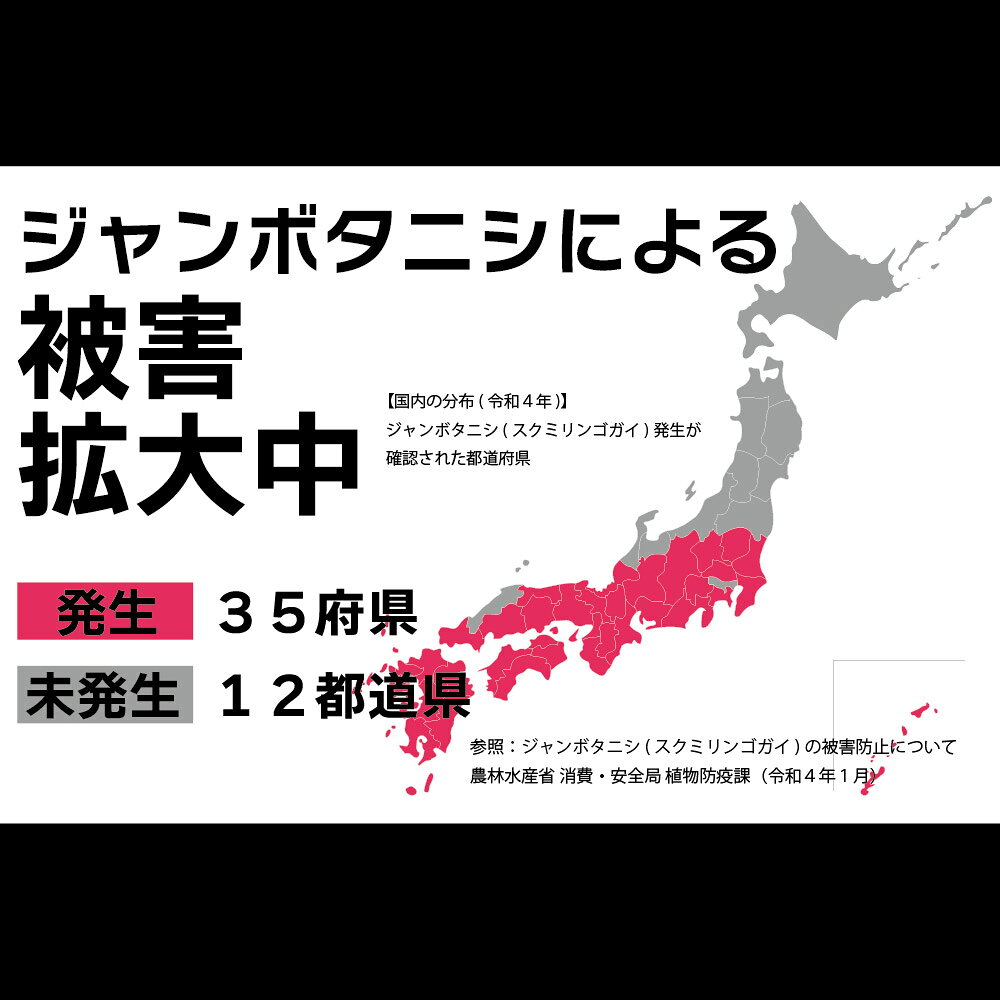 【6/4 20時～ エントリーでポイント20倍】スクミッチ（3台入）SRK600-B3 送料無料 ...