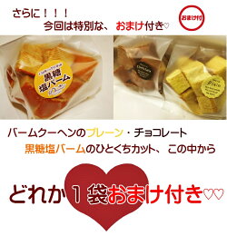 【送料無料】ライ麦レーズン訳あり/切り落とし