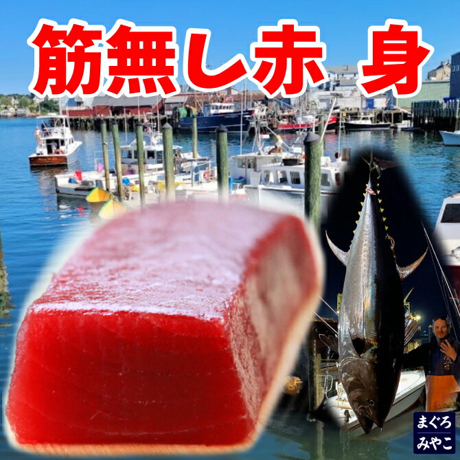 楽天まぐろのみやこ限定1セット天然本マグロ 【スジ無し赤身】天身1000g 10人前北大西洋 まぐろ お刺身 アイルランド沖　USA産 天然 本マグロ ギフト お祝い 内祝い お返し あす楽対応 即日発送 お取り寄せグルメ