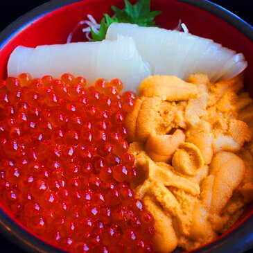 母の日ギフト海鮮丼 約3杯分セットウニ100g イカソーメン100g イクラ100g 簡易梱包(ダンボール)送料無料 ギフト お祝い 内祝い お返しあす楽対応 即日発送 良い訳あり お土産 お取り寄せ 送料無料