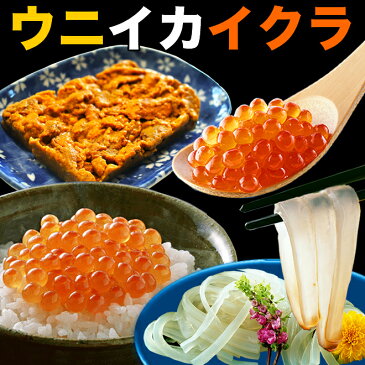 母の日ギフト海鮮丼 約3杯分セットウニ100g イカソーメン100g イクラ100g　簡易梱包（ダンボール）送料無料 ギフト お祝い 内祝い お返しあす楽対応 即日発送 良い訳あり お土産 お取り寄せ 送料無料