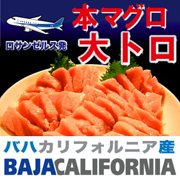 お歳暮ギフト本州送料無料 本マグロ 大トロ　サク 4人前400g（北太平洋 バハ カリフォルニア産）送料無料！　 本まぐろ お刺身 北太平洋産 ギフト お祝い 内祝い お返し 良い訳あり あす楽対応 即日発送