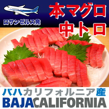 お歳暮ギフト本マグロ 中トロ　サク 6人前600g（北太平洋 バハ カリフォルニア産）本まぐろ お刺身 北太平洋産 ギフト お祝い 内祝い お返し 良い訳あり あす楽対応 即日発送 お土産 お取り寄せ