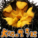 青森大間産本物生ウニ 200g(100g×2パック) 4人前 完全無添加ふるさと 母の日 父の日 ギフト 御祝 内祝 お返し 誕生日 贈り物 即日発送 お取り寄...