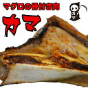 お取り寄せグルメ 天然マグロの骨付き肉「カマ2000g」BBQ用にカット済み 煮ても焼いても旨いDNAとDHAがたっぷり 魚なのにお肉の味わい バーベキュー ア...