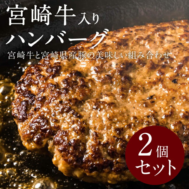 宮崎牛入りハンバーグセット 160g 2個 合い挽き肉 宮崎牛 宮崎県産豚 牛肉国産 父の日 グルメ お取り寄せ ギフト 冷凍便 送料別