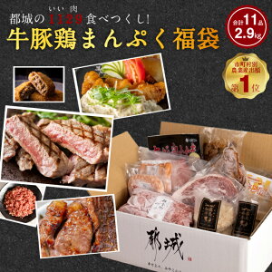 福袋 お肉セット 都城市 食品 11点 中身のわかる福袋 都城市 メガ盛り 2.9kg 2022 牛豚鶏まんぷく福袋 牛肉 宮崎牛ステーキ入り！都城の1129（いい肉）食べつくし！ 鶏の炭火焼き チキン南蛮 贈り物 食品ロス