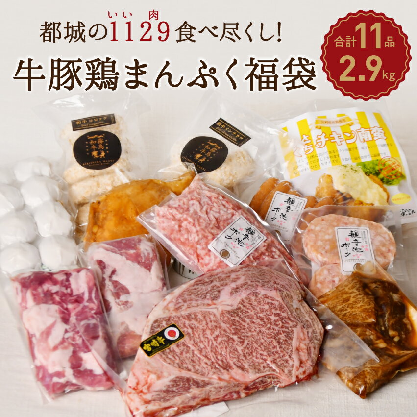 【期間限定2000円OFFクーポン】福袋 肉 食品 2024 国産 お肉セット 都城市 11点 中身のわかる福袋 都城市 メガ盛り 2.9kg 牛豚鶏まんぷく福袋 牛肉 宮崎牛ステーキ入り！都城の1129（いい肉）食べつくし！ サーロイン 精肉 贈り物 ギフト 仕送り 新生活 父の日