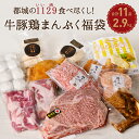 【期間限定2000円OFFクーポン】福袋 食品 2023 国産 お肉セット 都城市 食品 11点 中身のわかる福袋 都城市 メガ盛り 2.9kg 牛豚鶏まんぷく福袋 牛肉 宮崎牛ステーキ入り！都城の1129（いい肉）食べつくし！ サーロインステーキ ミンチ肉 精肉 贈り物