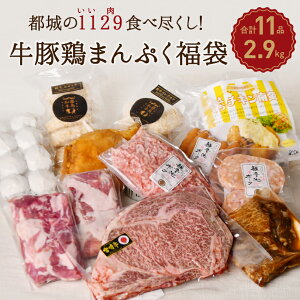 福袋 肉 食品 2023 2024 国産 お肉セット 都城市 11点 中身のわかる福袋 都城市 メガ盛り 2.9kg 牛豚鶏まんぷく福袋 牛肉 宮崎牛ステーキ入り！都城の1129（いい肉）食べつくし！ サーロインステーキ ミンチ肉 精肉 贈り物 ギフト