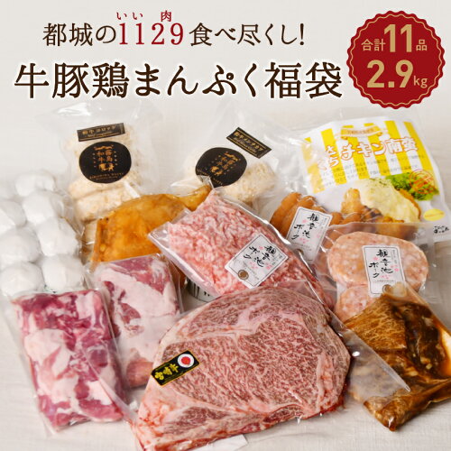 福袋 中身のわかる福袋 食品 2024 都城市 送料無料 夏 宮崎牛ステーキ...