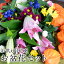 お任せお盆花セット 花束 花 盆花セット お盆花セット 仏花セット ほおずき鬼灯 オリエンタルユリ 菊 大菊 スプレー菊 竜胆 りんどう スプレーカーネーション お盆 帰省 ギフト 花々 お供え用