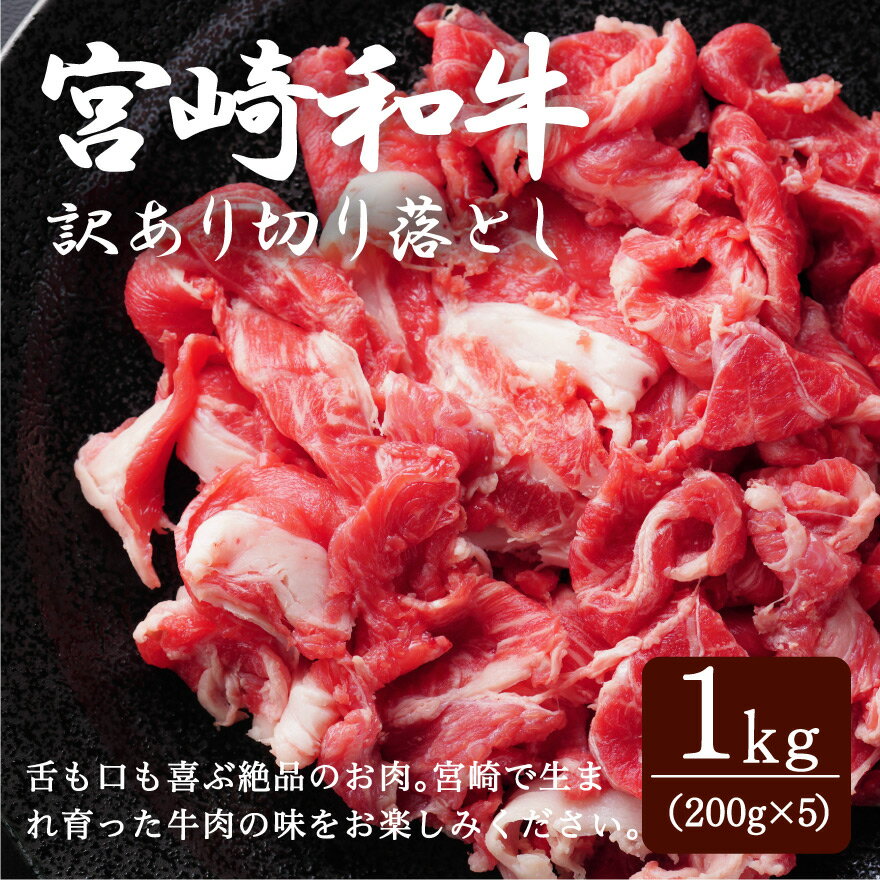  ڤȤ  µ ܺµ  1kg  ե £ £ʪ ץ쥼  ܺ긩 200g5ѥå...