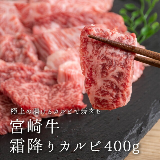 Jr Jr Y  {苍 {苍~Jr400g Yјa ēp Ăp Jr o[xL[ BBQ Ă јa uh {苍 A4EA5 Mtg j 