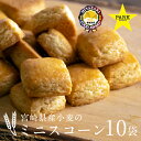 スコーン プレーン ミニスコーン 一口サイズ 宮崎県産小麦のミニスコーン10袋セット プチギフト ほんのり塩味 おやつ 宮崎フードアワード審査員賞受賞 朝食 天...
