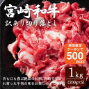 yԌ500~OFFN[|z ؂藎Ƃ Y јa {a A 1kg 󂠂 Mtg i 蕨 v[g Y {茧Y 200g~5pbNZbg 炩  Ε ss Ă  