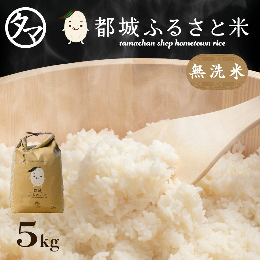 【2袋以上で送料無料】都城ふるさと米 5kg（無洗米）☆令和5年産まいひかり☆宮崎の清らかな大自然で育まれた美味しいお米をご堪能下さい【まいひかり】【九州 米】宮崎県都城市産 仕送り プレゼント 普段使い