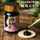 【期間限定200円OFFクーポン!】徳重紅梅園の鶯宿梅 梅肉エキス30g【有限会社 徳重紅梅園】 梅果汁 無農薬 自然栽培 紅梅園の作った梅肉エキス 梅 青梅果...