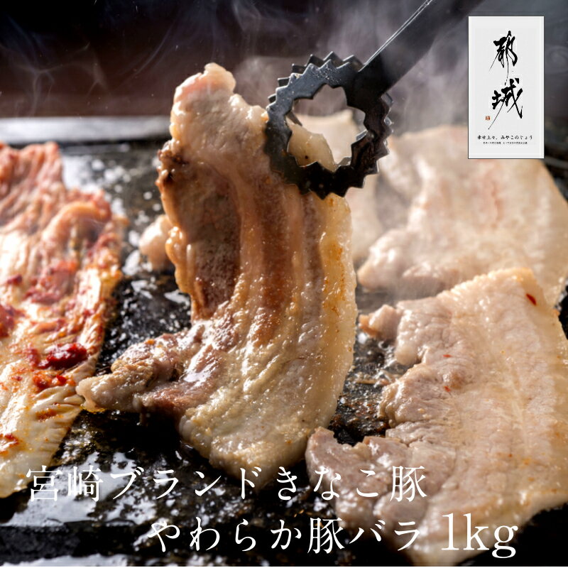 きなこ豚 バラ 焼き肉1kg セット お得 メガ盛り 便利 小分け 送料無料 グルメ ブランド豚 大豆きなこ 焼肉 バーベキュー BBQ ギフト プレゼント お歳暮 お中元 宮崎県産 豚バラ肉 豚肉 にく 贈…