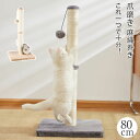 爪とぎ ポール キャットタワー 猫 ペットグッズ 据え置き スリム コンパクト 省スペース ペット 子猫 シニア 運動不足 ストレス解消 キャットツリー 猫のおもちゃ おもちゃ付き ボール ネズミ 室内 インテリア シンプル ペット用品 爪研ぎ 爪磨き 麻縄