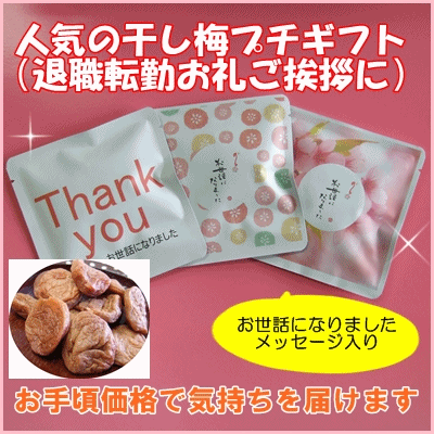 プチギフト「干し梅小袋入」お世話になりました【ミニギフト/退職/お礼/卒業プチギフト】【プチギフト 退職】【プチギフト 子供】