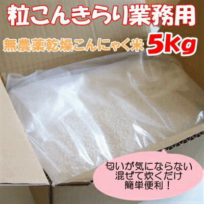 乾燥こんにゃく米　粒こんきらり業務用　5kg（76合分）【こんにゃく米】【ヘルシー米】 【P20Aug16】