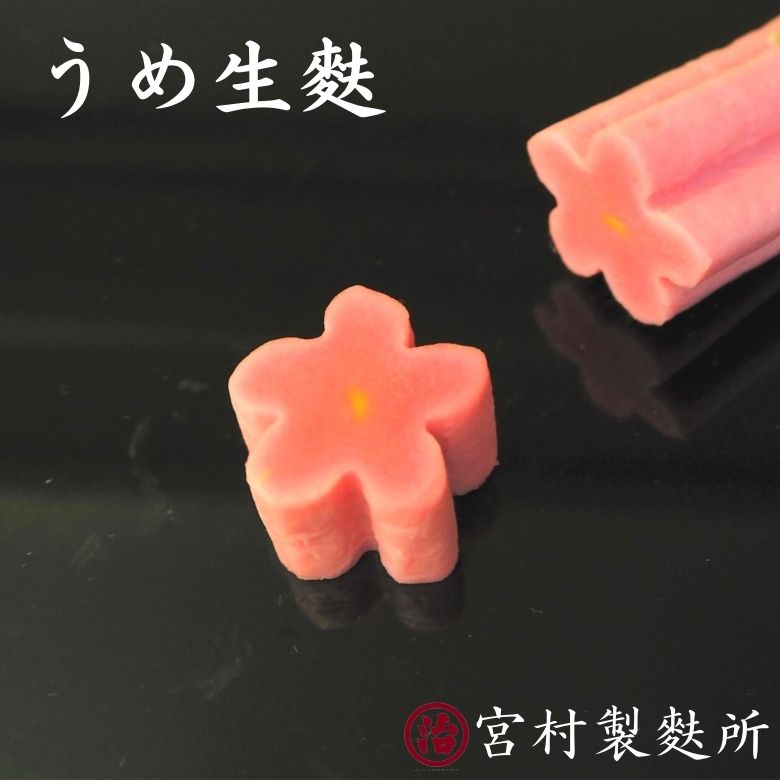 商品情報名称うめ生麩内容うめ生麩　1本（約2.5cm×約2.5cm×約18cm）賞味期限/保存方法冷凍　1年冷蔵　1ヶ月原材料小麦グルテン(国内製造)、もち粉/着色料(黄4、赤3、赤106)栄養成分（100g当たり）エネルギー　　163Kcalたんぱく質　　12.4g脂質　　　　　1.6g炭水化物　　　24.7g食塩相当量　　0.02g製造者有限会社　宮村製麩所〒957-0356新潟県新発田市岡田1807-6ご注意モニターの発色具合によって実際の商品と色が異なる場合があります。【うめ生麩】 お吸い物 お食い初め お弁当 ホームパーティー 料亭 割烹 和食 手土産 デコレーション 飾り 料理 手作り 綺麗 お祝い 母の日 おもてなし 麩 お麩 生麩 梅 お正月 お節 おせち料理 御歳暮 お歳暮 宮村製麩所の生麩職人が1本1本丁寧に作っている自慢の生麩です。 宮村製麩所の生麩職人が1本1本手作りで作っているこだわりの生麩。お正月や、お雛様などのお祝いや母の日、お中元、お歳暮、手土産、お世話になった方のプレゼントなど様々なシーンで喜ばれること間違いなしです。料理に添えるだけで、高級感と華やかさを出してくれます。※他商品とご一緒にご注文の場合は、同温度の商品のご注文をお願い致します。 違う温度帯でのご注文の場合、送料を別途頂戴する場合がございます。 詳しくは他温度帯商品を同梱する場合の送料表をご覧ください。 送料は別途こちらの方で加算させて頂きますのでご了承下さいませ。【内容】・うめ生麩　　1本　(約18cm)【原材料】・うめ生麩　小麦グルテン(国内製造)、もち粉/着色料(黄4、赤3、赤106)【栄養成分（100g当たり）】　エネルギー　　163Kcalたんぱく質　　12.4g脂質　　　　　1.6g炭水化物　　　24.7g食塩相当量　　0.02g【賞味期限】冷凍　1年冷蔵　1ヶ月(開封後はお早めにお召し上がり下さい)生麩は再冷凍可能ですが、再冷凍する際はしっかりと密封して下さい。 8