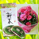 母の日に新茶とお菓子、そしてお花をセット 【送料無料】