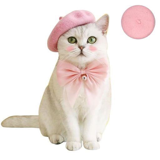 犬 猫 ベレー帽 帽子 クリエイティブ ペット ウール キャップ 子犬 ヘッドドレス コスチューム ヘアー アクセサリー 犬 パーティー 帽子 用 写真用 小道具 (Pink)