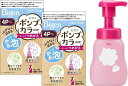 白髪染めホーユービゲンポンプカラー4P(ピュアブラウン)詰替え用2個+専用空ボトル1個付