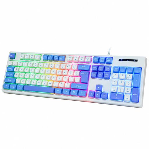 HUO JI ゲーミングキーボード 有線 テンキー付き フルサイズ US配列 静音設計 メカニカル風打鍵感 Nキーロールオーバー RGBバックライト 防滴仕様 人間工学 ゲーム・オフィス用 PC/PS4/PS5/Xbox…