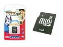 1GB MINI SD CARD TS1GSDM