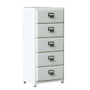 ダルトン(Dulton) 収納棚 5ドロワーズ チェスト高さ890×幅400×奥行300mm 5 DRAWERS CHEST