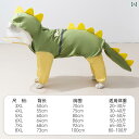 犬用 レインコート ヒッピー 犬用 大型 犬 服 夏用 ボーダーコリー ゴールデンレトリバー ペット用 オールインクルーシブ 防水 恐竜型 レインコート