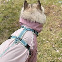 犬用 レインコート 【 あり】 DOUBTLESS 24 AW FLEX GUARD 犬 柄 ニット レインコート ジャケット