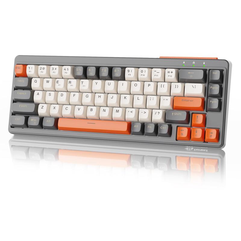 ZIYOU LANG M68 コンパクト 3モード メンブレン キーボード Bluetooth ワイヤレス 有線 2.4GHz Type-C 67キー 65% RGB照明 充電式 静音 小型 PBT球面キーキャップ USB レシーバー 人体工学デザイン