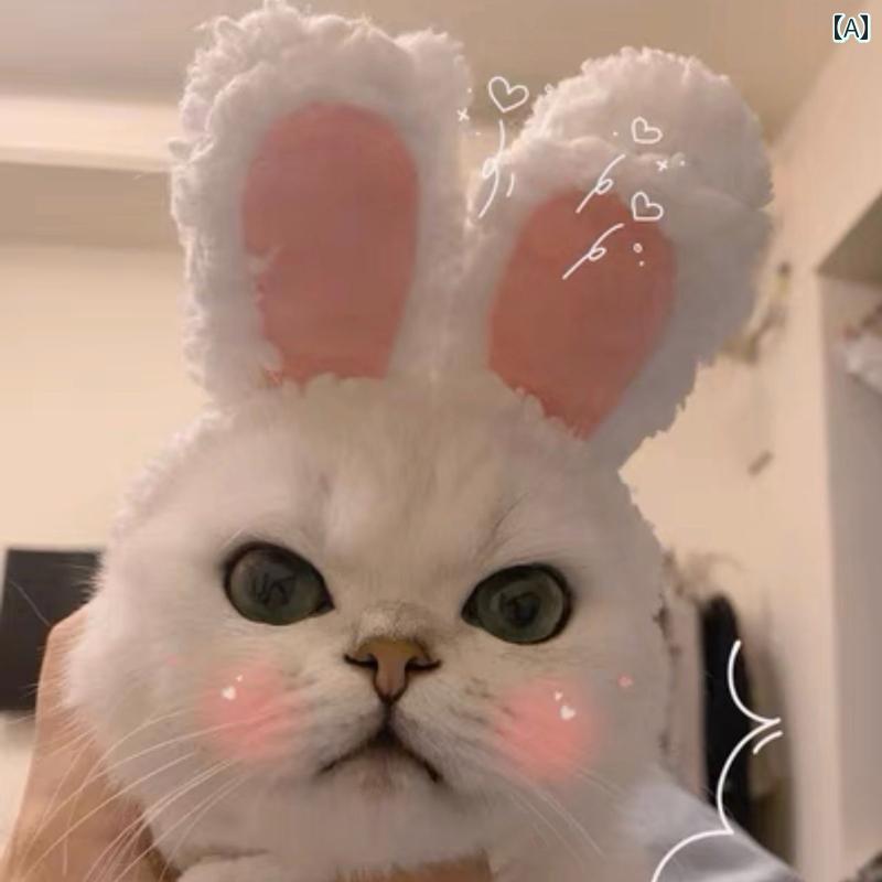 帽子　うさぎ耳　かわいい ペットの 帽子猫の 帽子 かわいい クマの ウサギの 耳 犬 小型 おもしろ 変装 写真