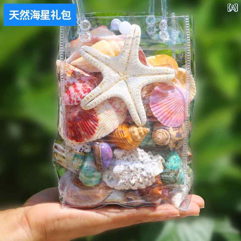 おもちゃ ホビー おもちゃ ホビー ナチュラル シェル 巻貝 飾り ヒトデ 水槽 水族 館 床 造園 子供の おもちゃ ギフト