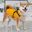 ペット服 犬服 春夏 ペット 犬 服 柴犬 コーギー テディ 秋服 小型 犬 中型 犬 コーギー 牽引 ロープ 冬用 綿 コート 2024