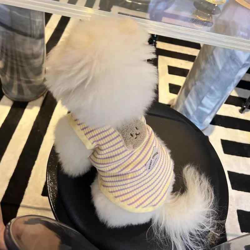 わんちゃん ペット服 犬 秋冬 厚手 ベスト クマの 頭 ヨークシャーテリア ビション マルチーズ テディ ..