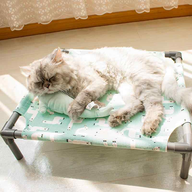 ペットベッド 猫用 犬用 小型犬 兼用 ベッド 組み立て式 通気性 抜群 防湿 床上設置型 高床式 行軍床 クッション 丈夫 洗える 取り外し可能 清潔 衛生的 快適 寝具 マット 休憩場所 室内 室内飼い 暑さ対策 涼しい 蒸れにくい 猫ハウス ペット