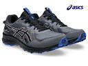 アシックス ランニングシューズ GEL-VENTURE 10 EXTRA WIDE 1011B966 020 グレー