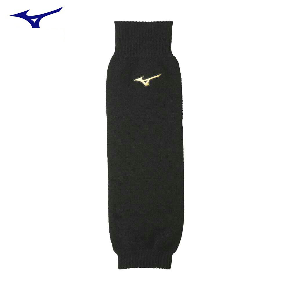 ミズノプロ 吸湿発熱 ブレスサーモレッグウォーマー 12JYBU0109 ブラック