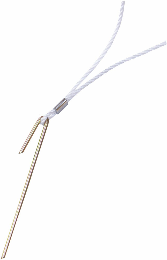 ゼットガッコウタイイク 学校体育器具 マーカー 器具・備品 ポイントマーカー ZK1980 1100 ホワイト ユ..