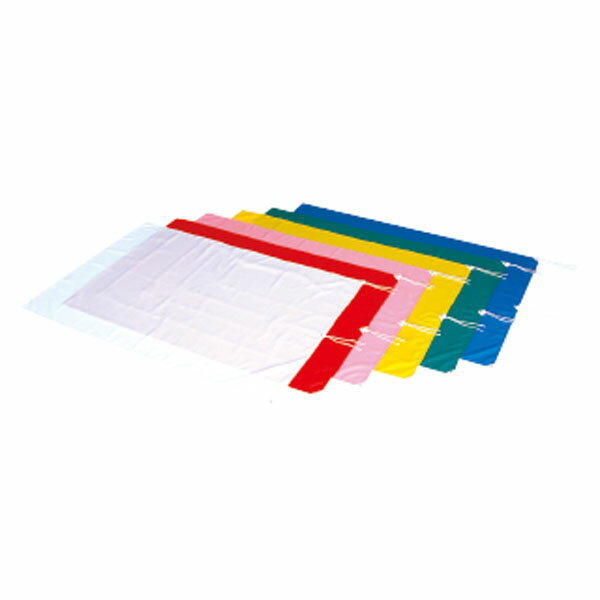 エバニュー 学校体育器具 旗 運動会小物 大旗P EKA647 100 赤