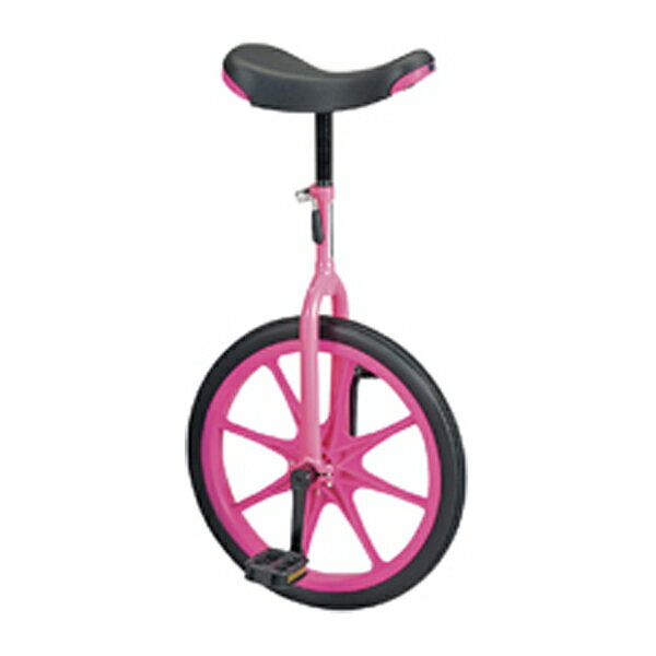 エバニュー 学校体育器具 一輪車 器具・備品 一輪車(ノーパンク)18 EKD137 P ピンク