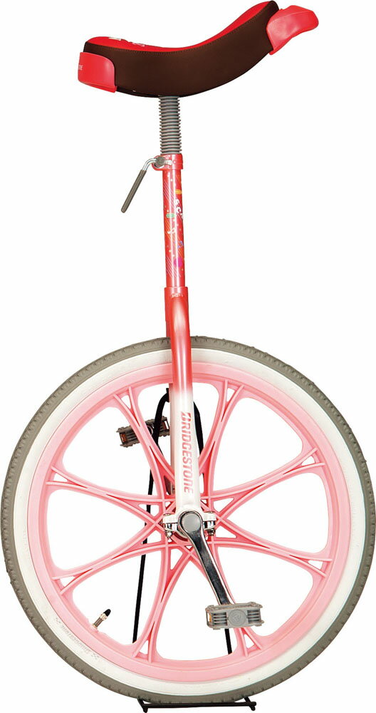 エバニュー 学校体育器具 一輪車 器具・備品 一輪車(エアタイヤ)20 EKD344 120 ピンク