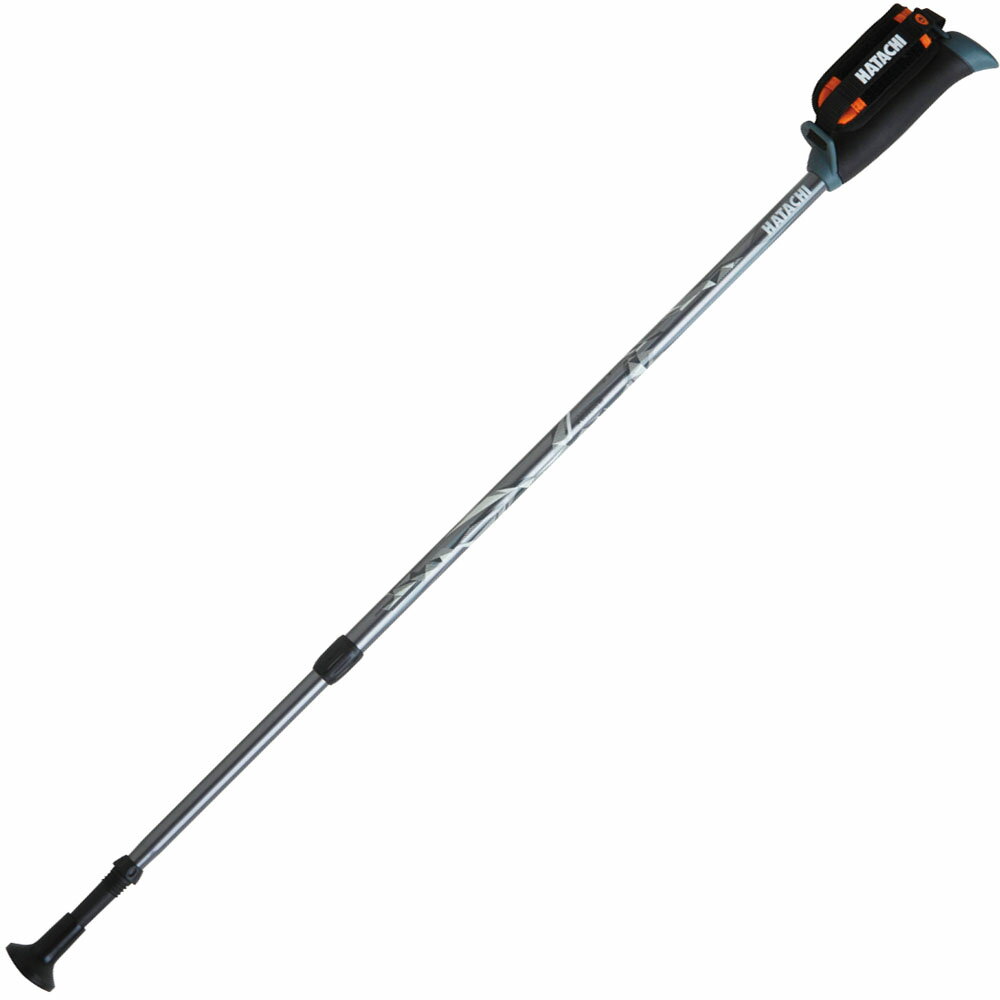 ハタチ ウェルネス ポール DFP プログレッシブズーム（2本組） WH1120 5 ガンメタリック(4)